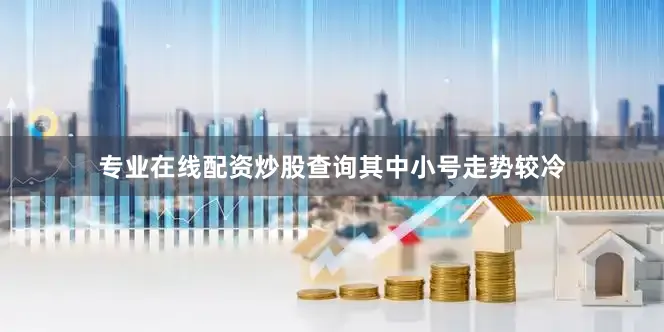 专业在线配资炒股查询其中小号走势较冷