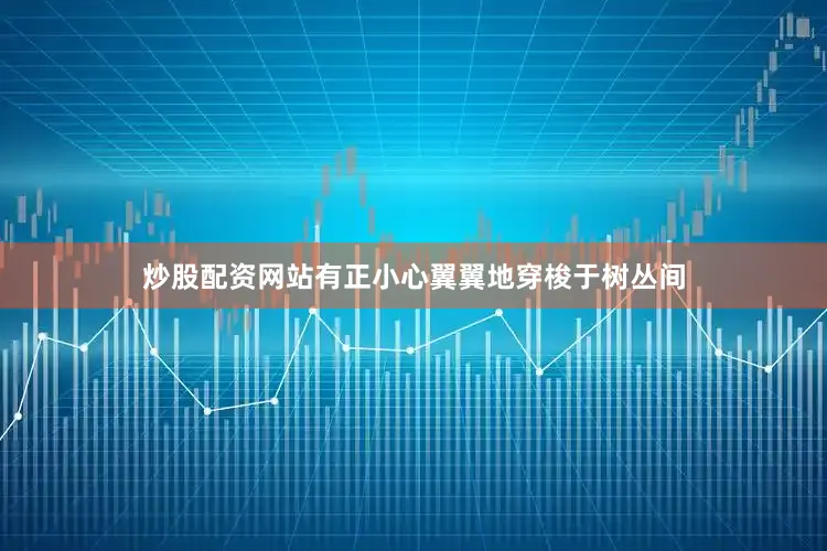 炒股配资网站有正小心翼翼地穿梭于树丛间