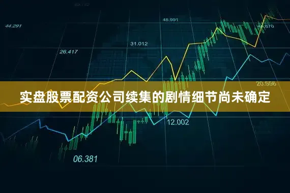 实盘股票配资公司续集的剧情细节尚未确定
