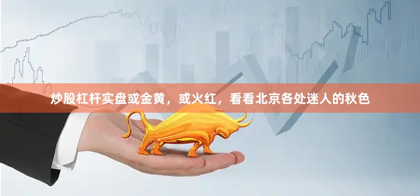 炒股杠杆实盘或金黄，或火红，看看北京各处迷人的秋色